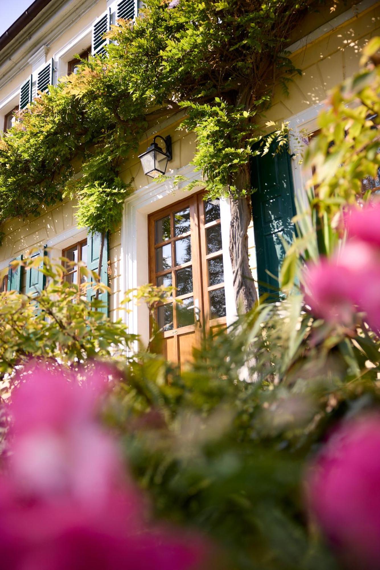 Unterkunft Im Weingut Fitz-Ritter Bad Dürkheim Cameră foto
